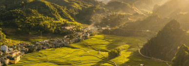 ey-view-over-the-terraced-fields-in-vietnam.jpg.rendition.1800 (1).png